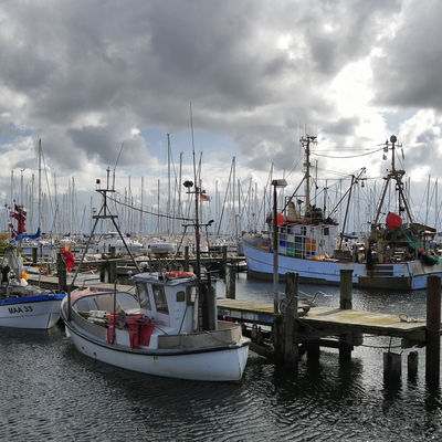 Bild vergrößern: Hafen Maasholm